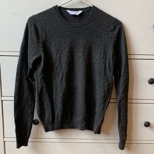 Everlane 100% cashmere crewneck sweater